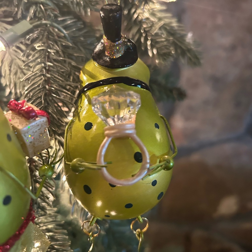 Kissing Frogs Ornament Set ♥️